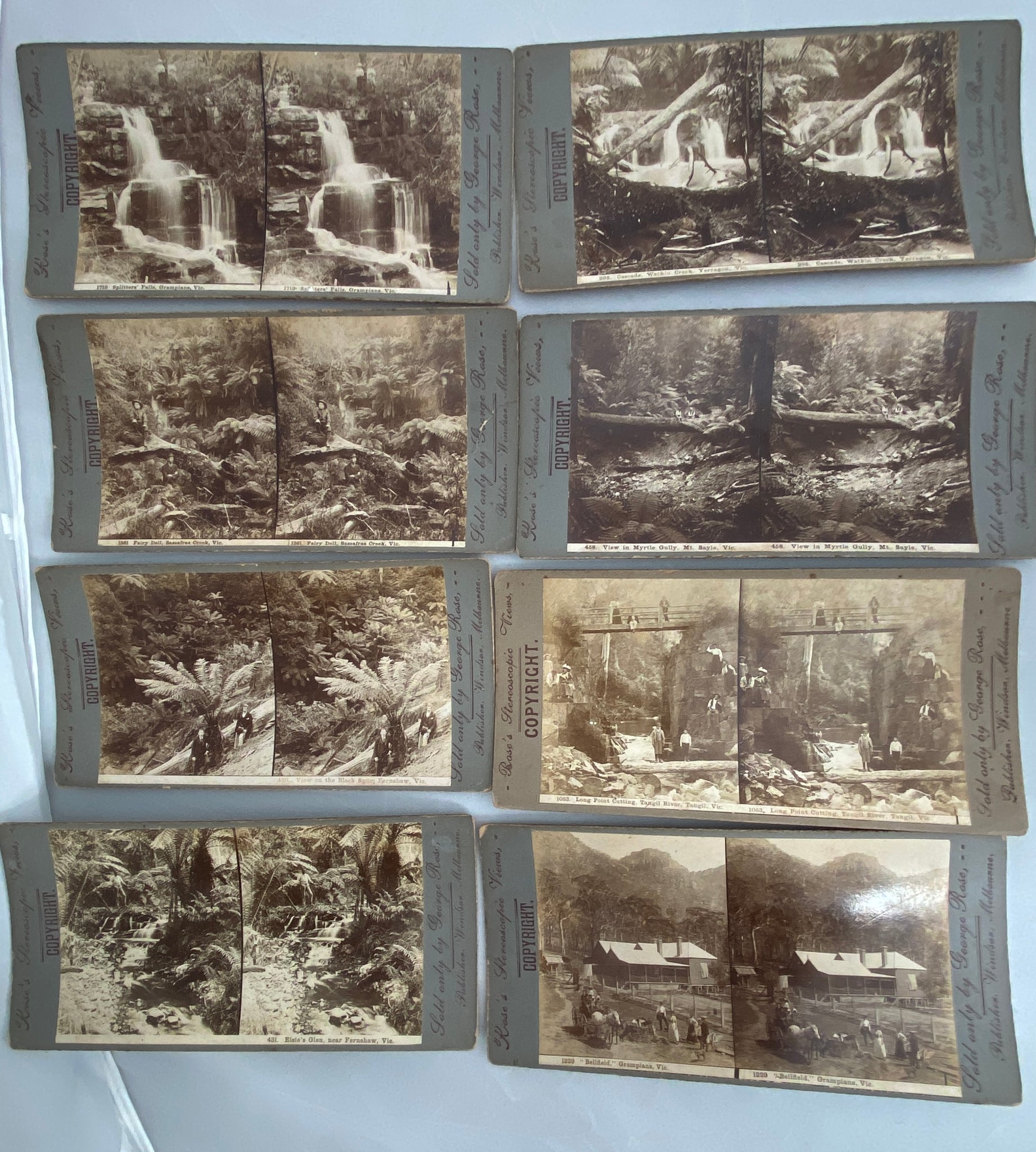 Rose's Stereoscopic Views (Set of 8) Memorabilia 1910